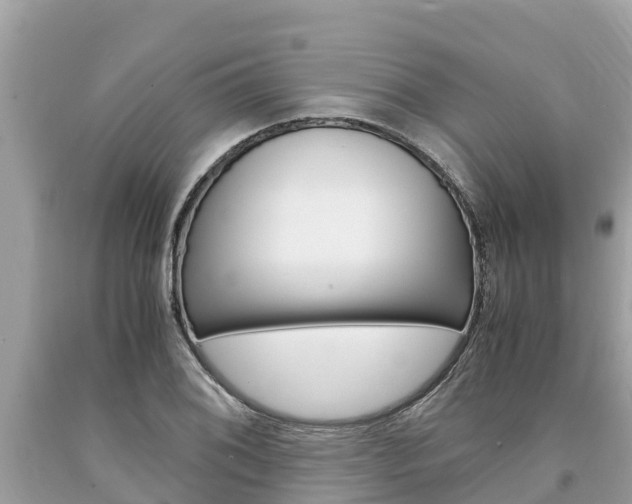 X0000094181076200710260926