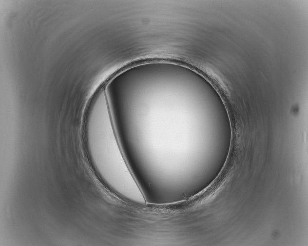 X0000094181077200710260926