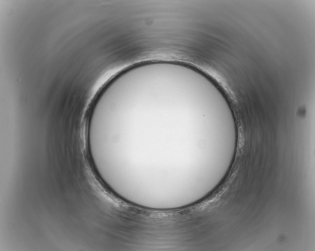 X0000094181078200710260926