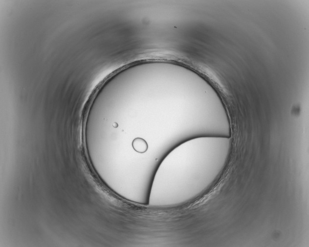 X0000094181079200710260926