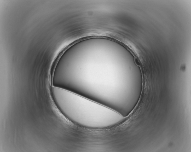 X0000094181080200710260926