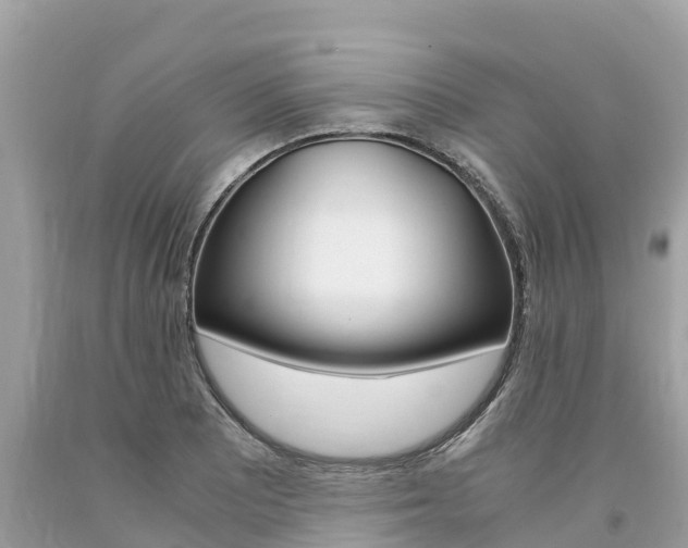X0000094181081200710260926