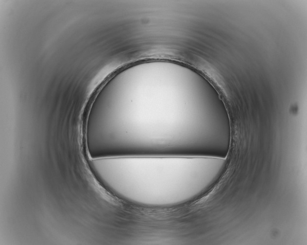 X0000094181082200710260926
