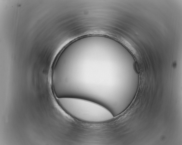 X0000094181084200710260926