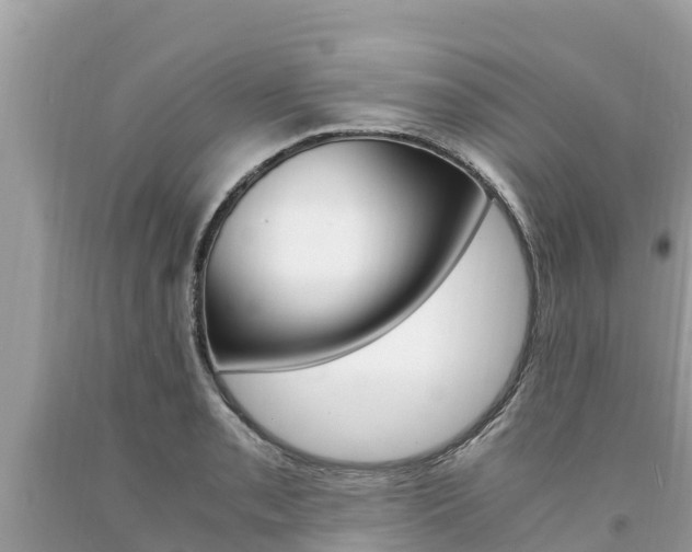 X0000094181085200710260926