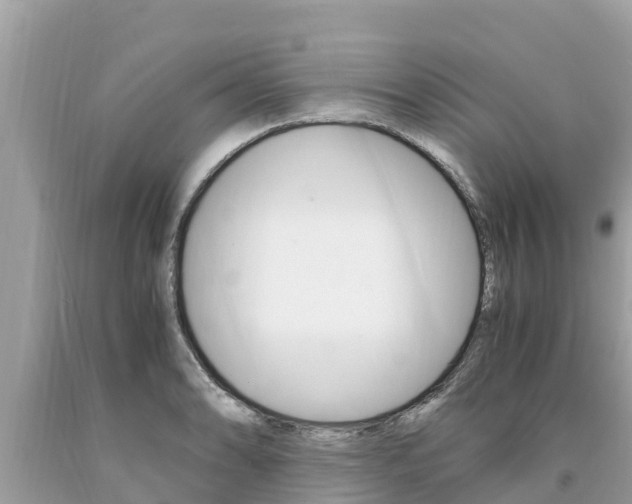 X0000094181086200710260926
