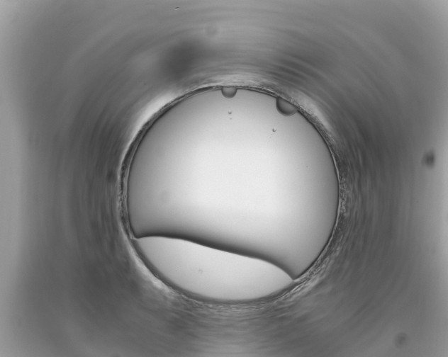X0000094181087200710260926