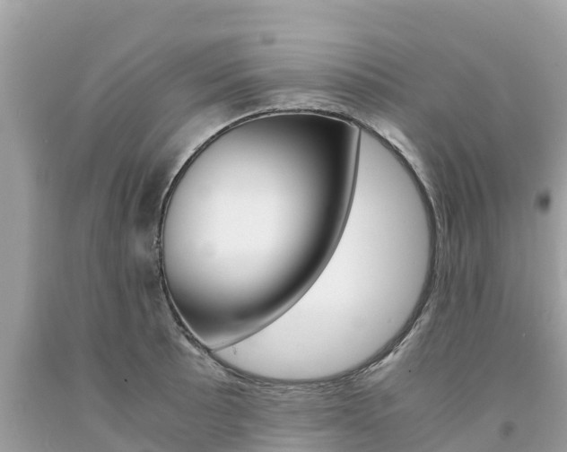 X0000094181089200710260926
