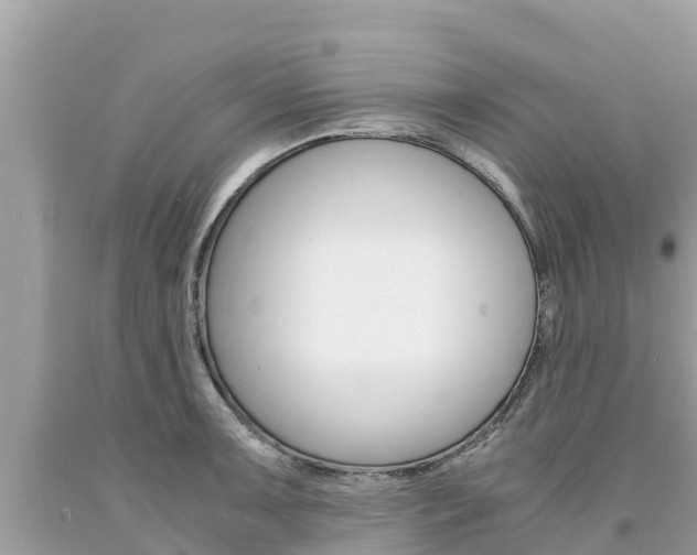 X0000094181091200710260926