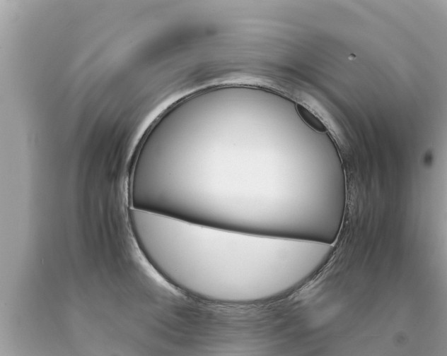 X0000094181092200710260926