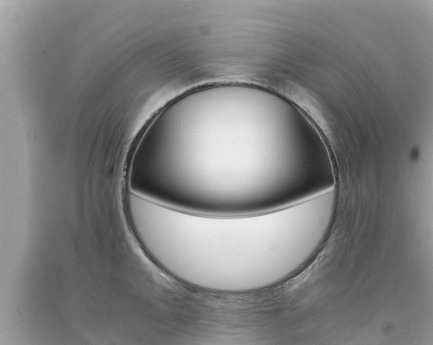 X0000094181093200710260926