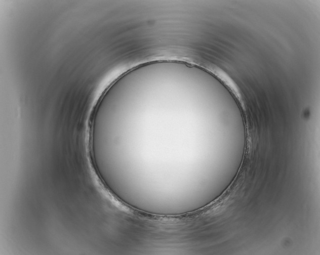 X0000094181096200710260926
