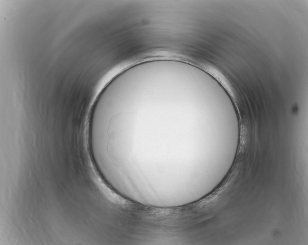 X0000094181098200710260926