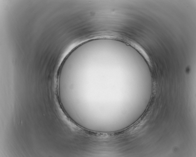 X0000094181099200710260926
