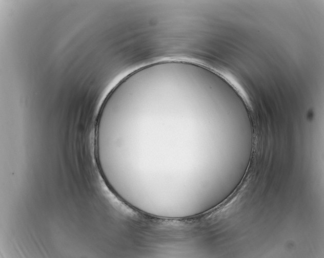 X0000094181100200710260926