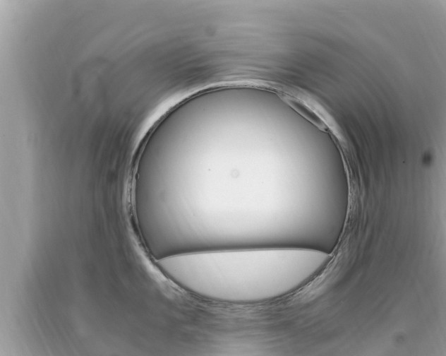 X0000094181101200710260926