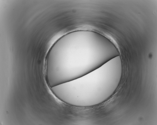 X0000094181103200710260926