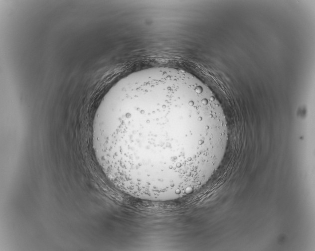X0000094181105200710260925
