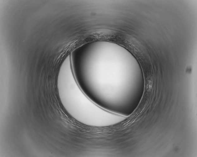 X0000094181108200710260925