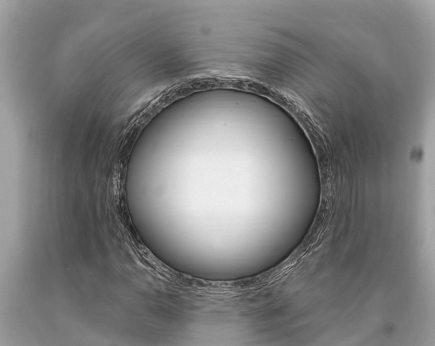 X0000094181110200710260925