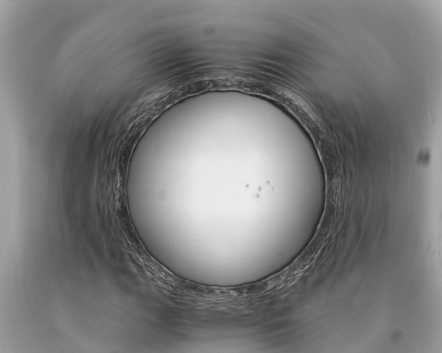 X0000094181111200710260925