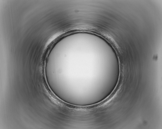 X0000094181114200710260925