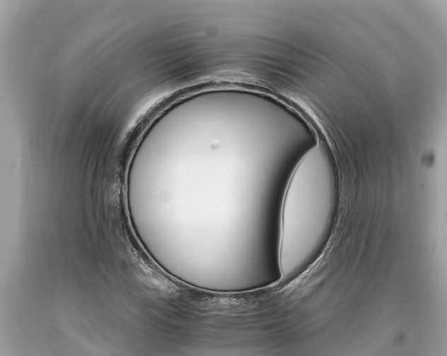 X0000094181115200710260925