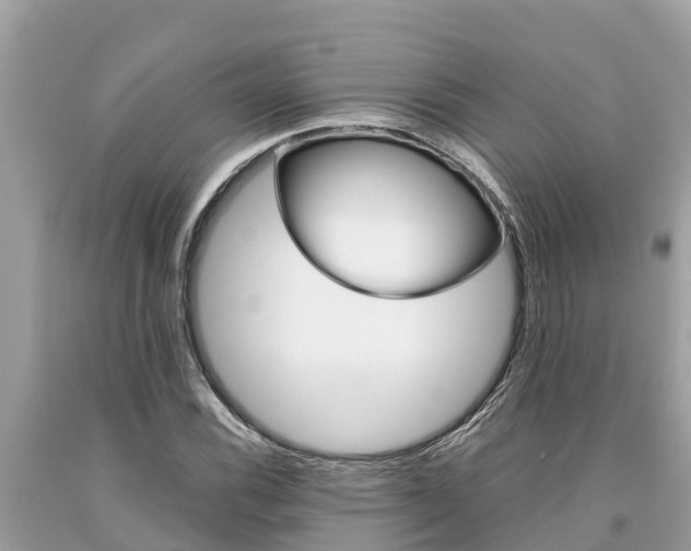 X0000094181116200710260925