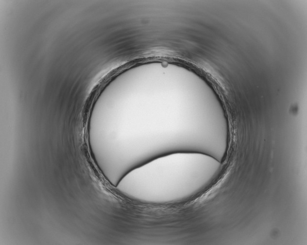 X0000094181117200710260925