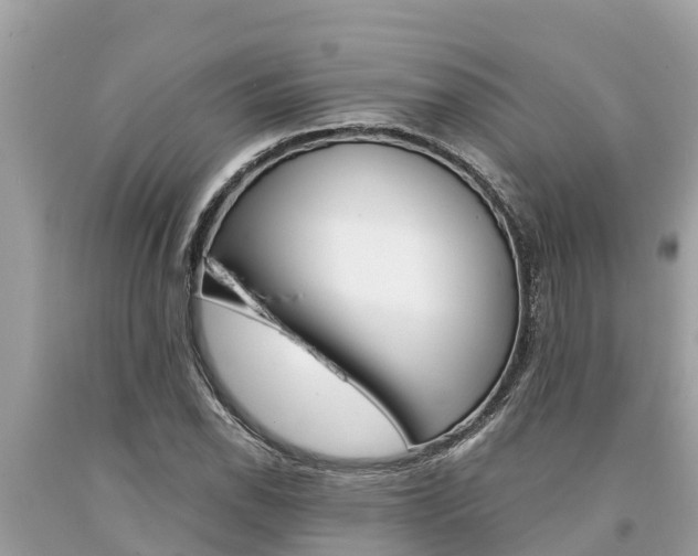 X0000094181118200710260925