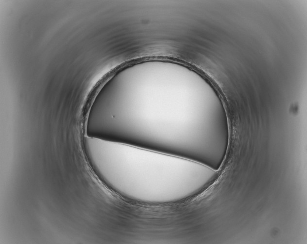 X0000094181119200710260926