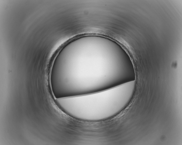 X0000094181120200710260926