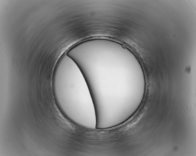 X0000094181121200710260926