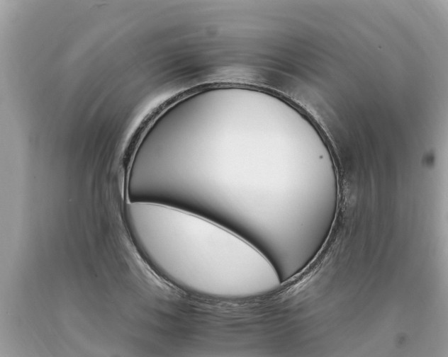 X0000094181123200710260926