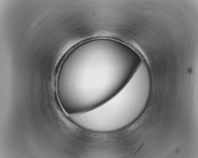 X0000094181124200710260926