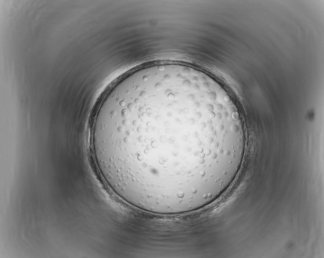 X0000094181125200710260926