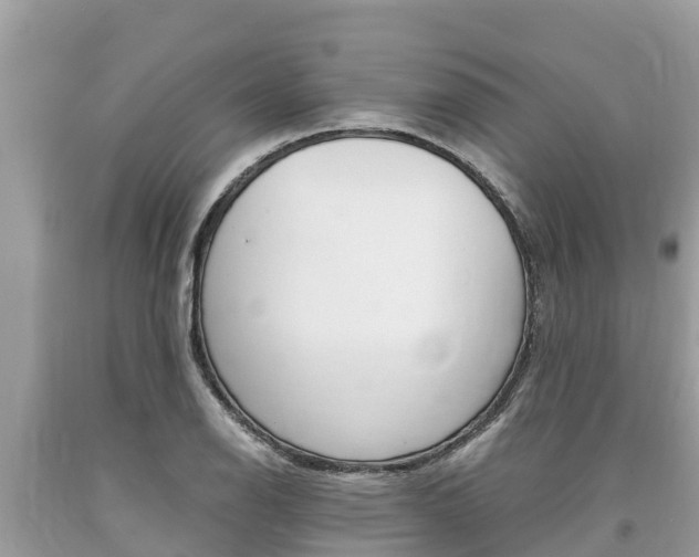 X0000094181126200710260926