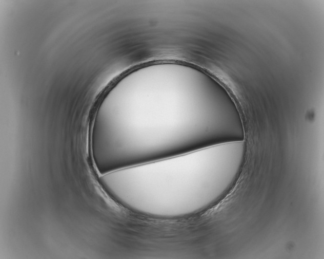 X0000094181127200710260926
