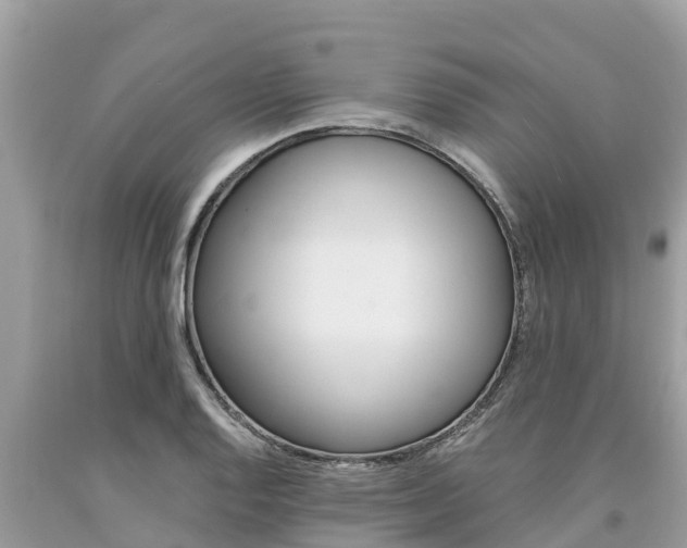 X0000094181128200710260926