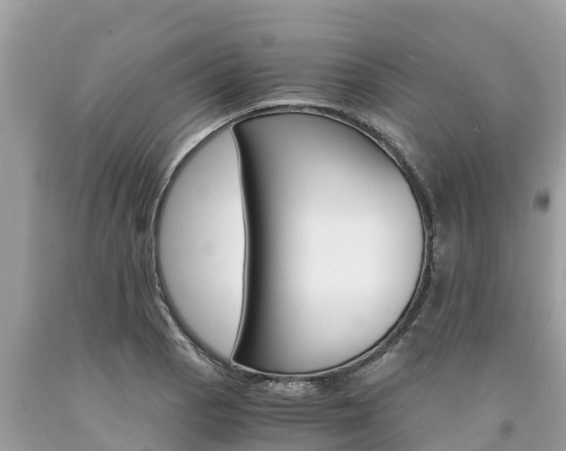 X0000094181129200710260926