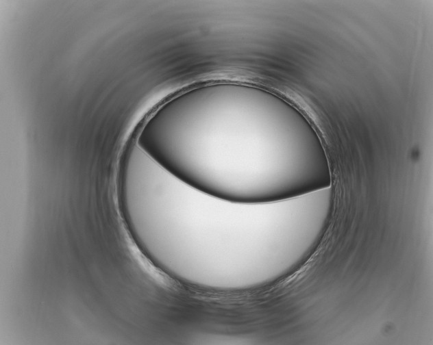 X0000094181131200710260926