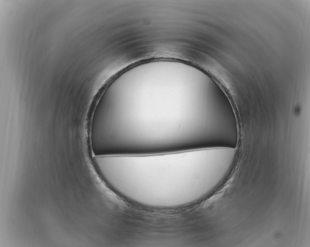 X0000094181133200710260926