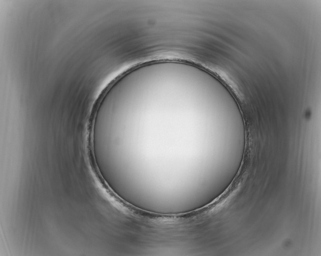 X0000094181134200710260926