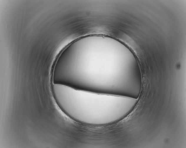 X0000094181135200710260926