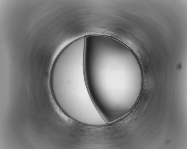 X0000094181136200710260926