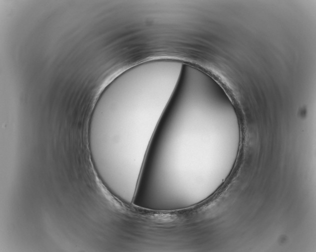 X0000094181137200710260926