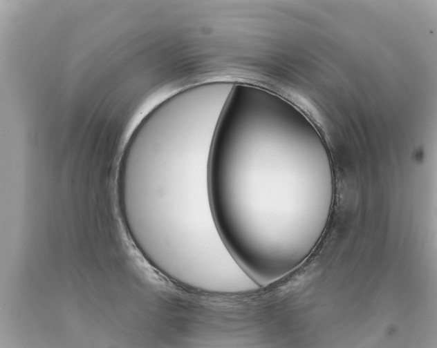 X0000094181138200710260926