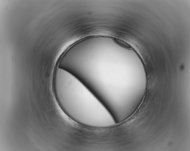 X0000094181139200710260926