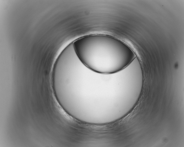 X0000094181140200710260926