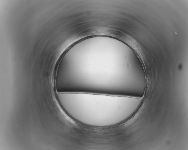 X0000094181141200710260926